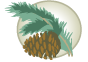 sgmh_logo-pine